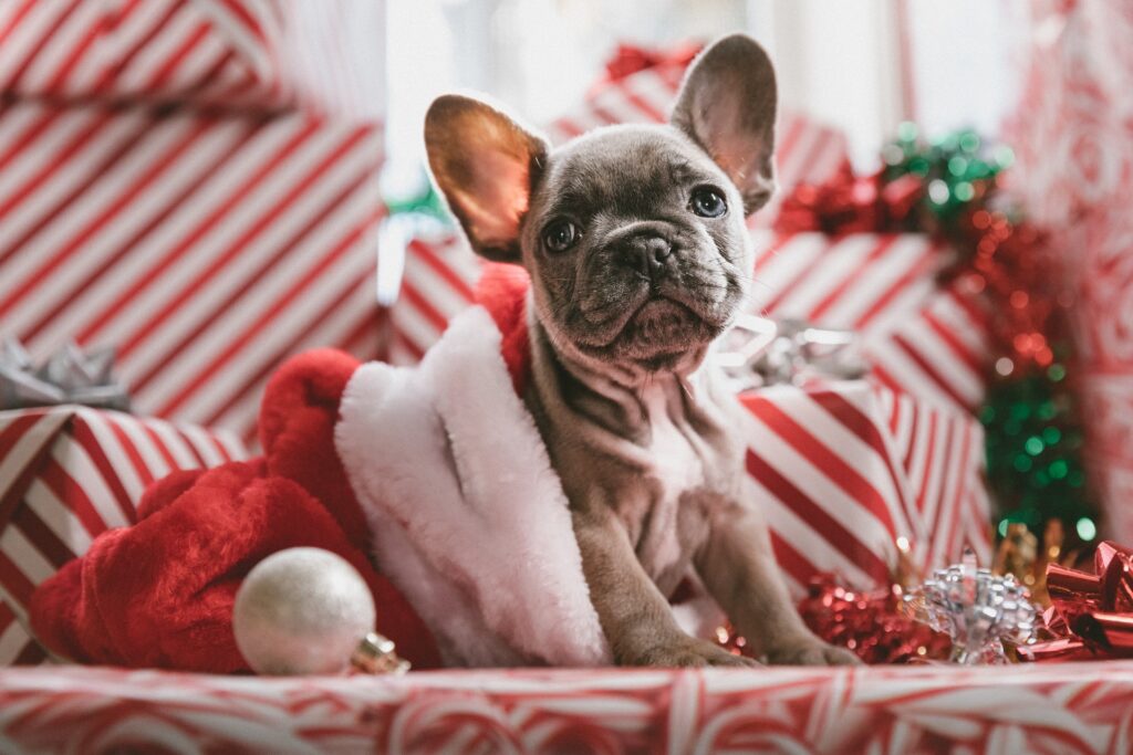 Xmas advertising ideas Christmas advertising ideas